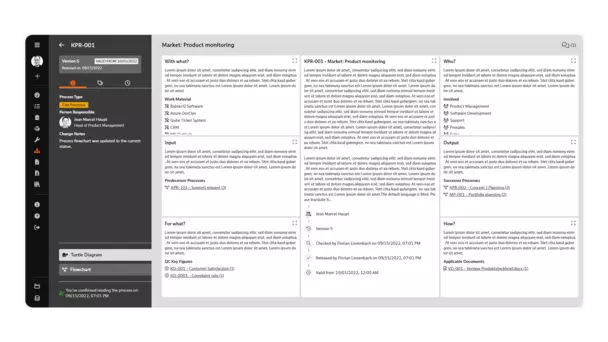 Screenshot: Turtle-Diagramm für das Prozessmanagement