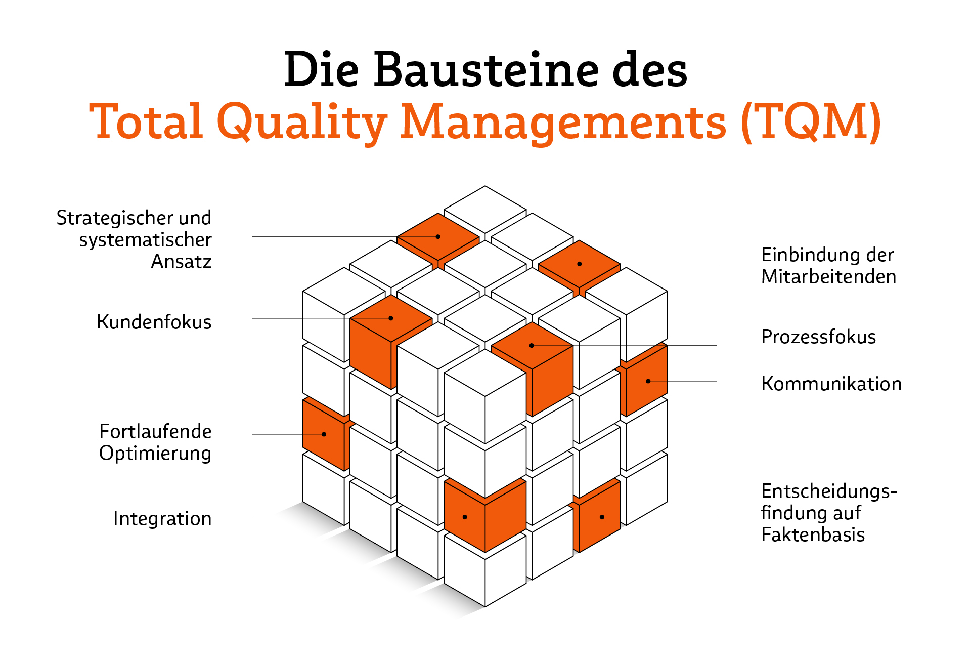 Infografik zum Total Quality Management (TQM)